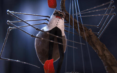 Spider Jazz