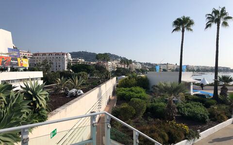 Eindrücke aus Cannes