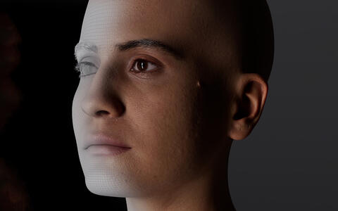 Ein halb digitalisiertes Gesicht