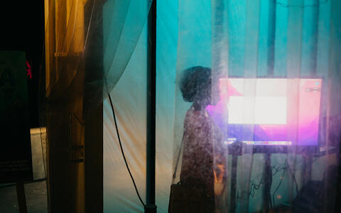 Gwamaka Mwabuka's project »Zamia«