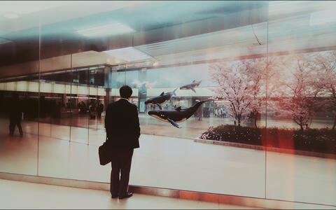 Mann steht vor einer Glaswand und schaut auf fliegende Wale in einem Bürogebäude