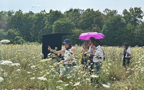 Eine Gruppe junger Menschen läuft bei sonnigem Wetter durch eine überwucherte Wiese. Eine Frau trägt einen pinken Regenschirm.