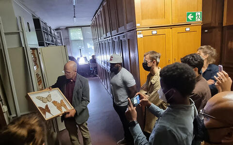 In the Lepidoptera Collection (butterflies), which is otherwise closed to visitors