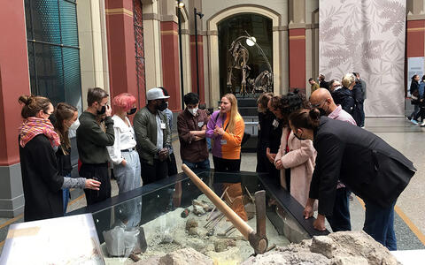 Excursion to the Museum für Naturkunde Berlin 