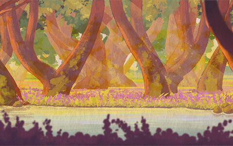 Ein Wald an einem Fluss