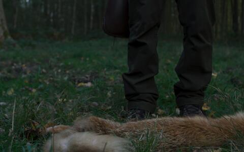 Eine Wiese mit ein paar Herbstblättern. Man sieht zwei Beine knieabwärts. Vor den Füßen der Person liegt ein toter Hase
