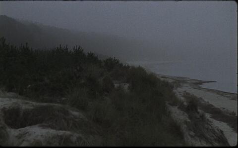 Die Ostseeküste 