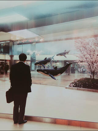Mann steht vor einer Glaswand und schaut auf fliegende Wale in einem Bürogebäude