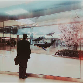 Mann steht vor einer Glaswand und schaut auf fliegende Wale in einem Bürogebäude